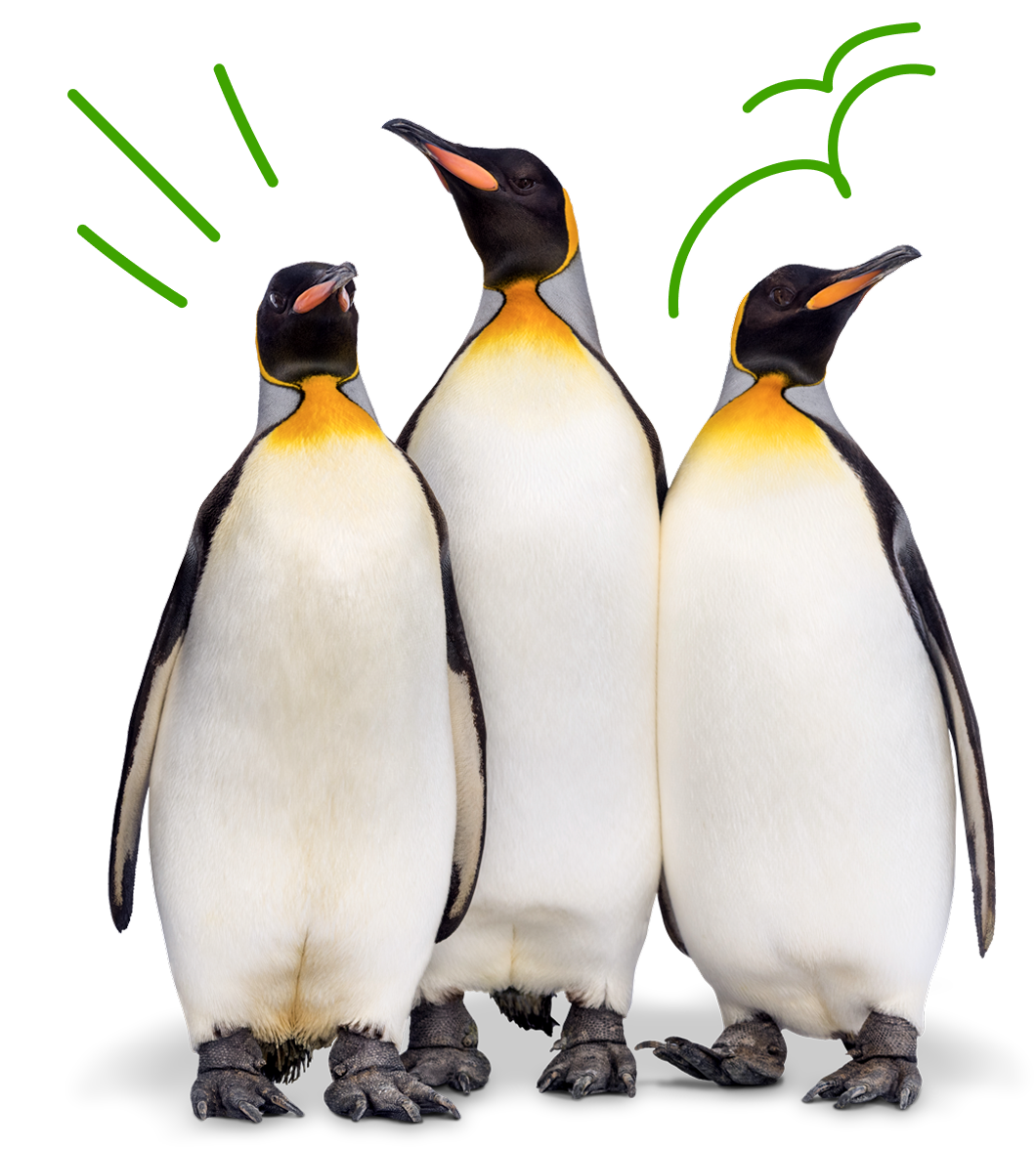 Yoigo LUZ y GAS - Lagun plana. Lagun gehiago, sari gehiago.