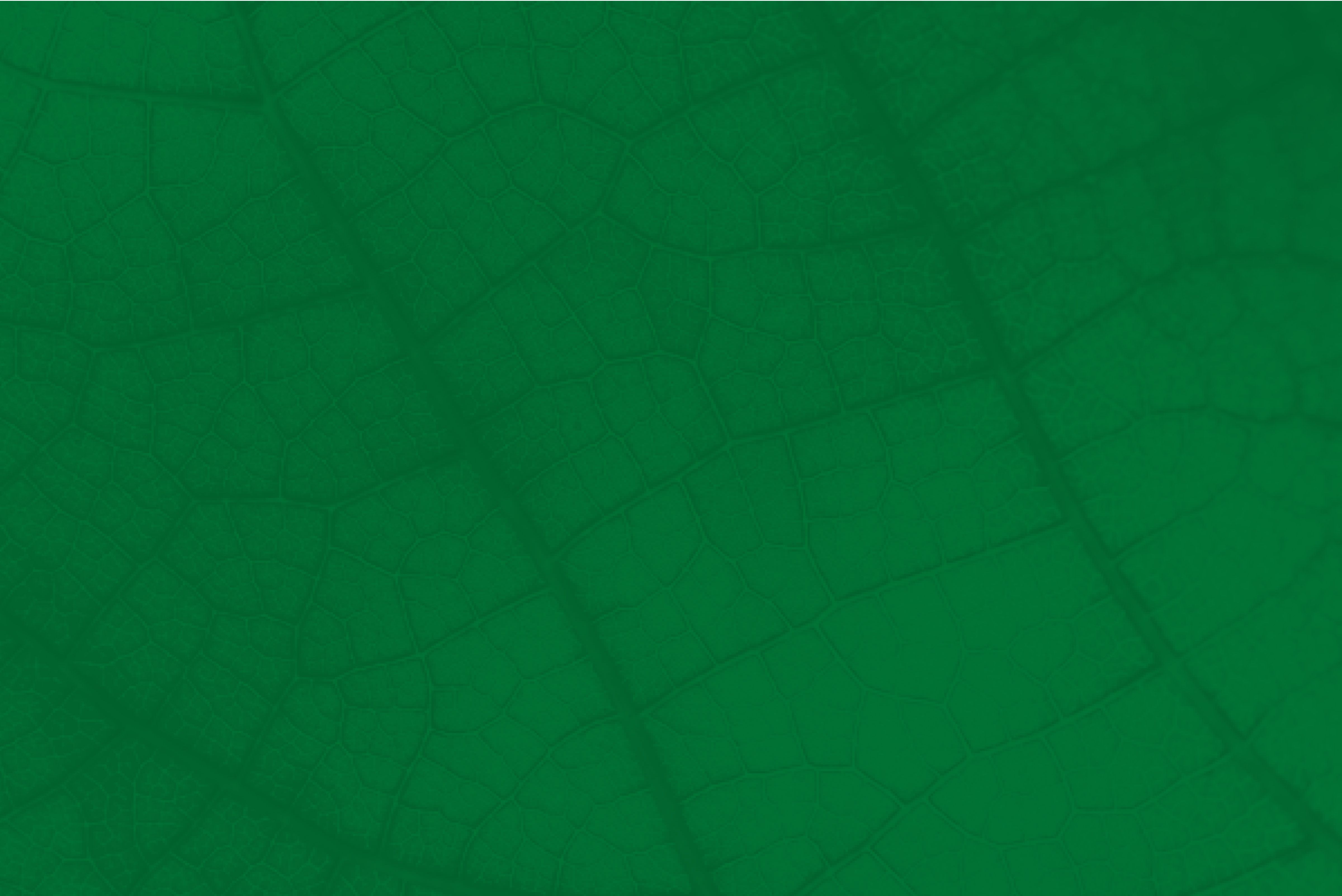 Yoigo LUZ y GAS - Tarifa de luz fija Yoigo LUZ y GAS